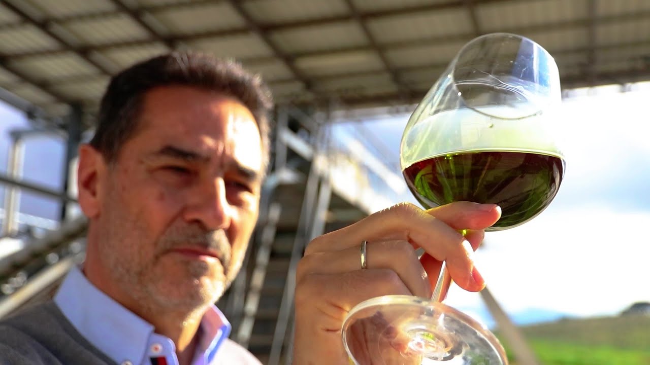 Finca La Pontezuela, cuna de uno de los mejores aceites de oliva virgen extra del mundo, 5 Elementos
