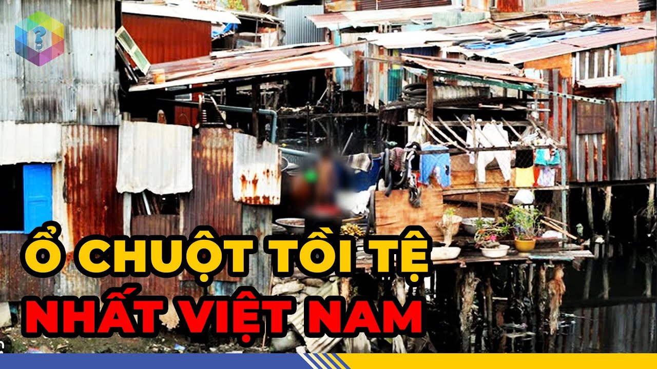 Giật Mình 6 “Khu Ổ Chuột” Tồi Tàn Và Nguy Hiểm Nhất Việt Nam - Top 1 Khám Phá