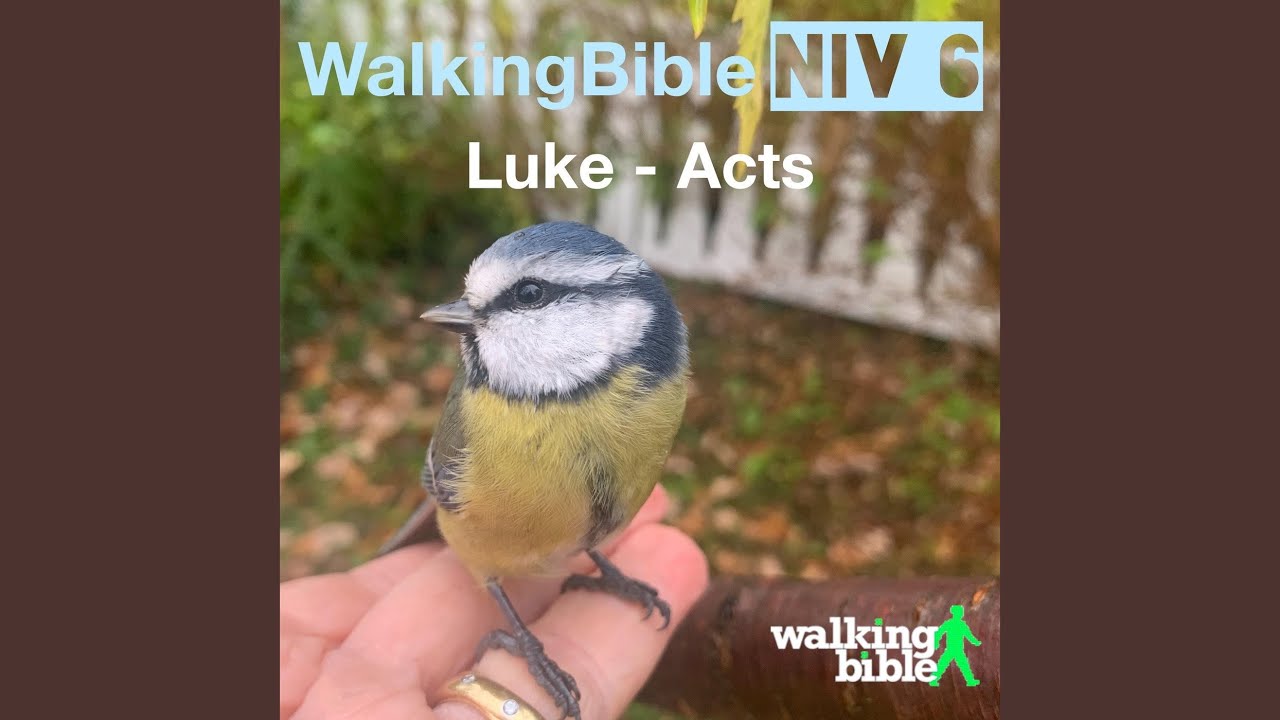 Acts 17:29-30