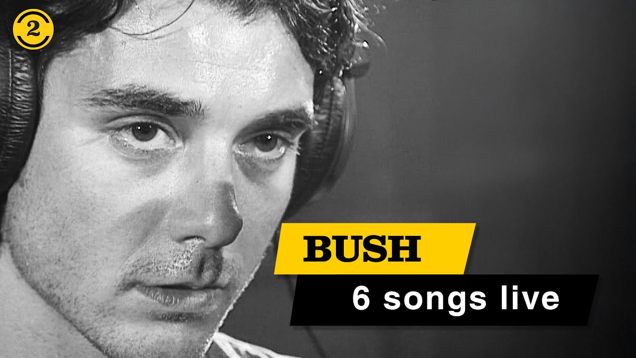 BUSH - RARE 1995 Live Footage  | GLYCERINE, COMEDOWN & EVERYTHING ZEN & More on 2 Meter Sessions