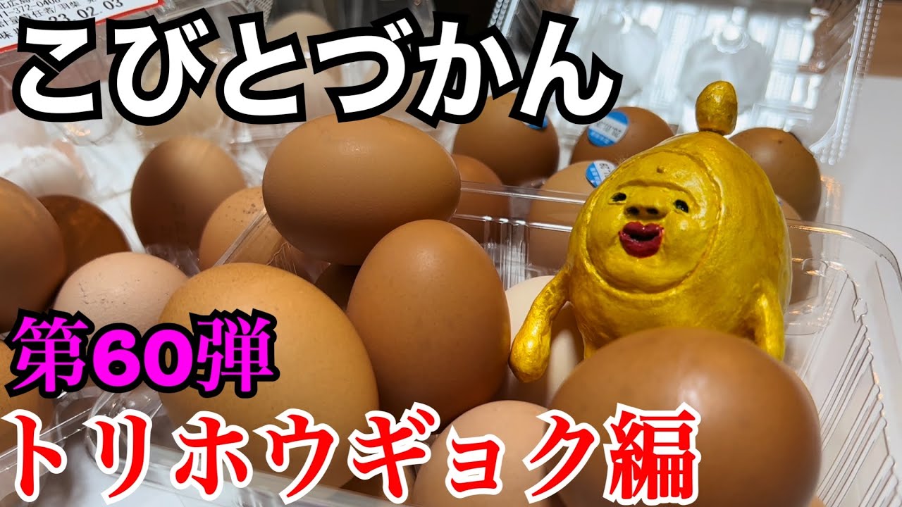 【こびとづかん】トリホウギョク見つけるまで帰れま10！！！