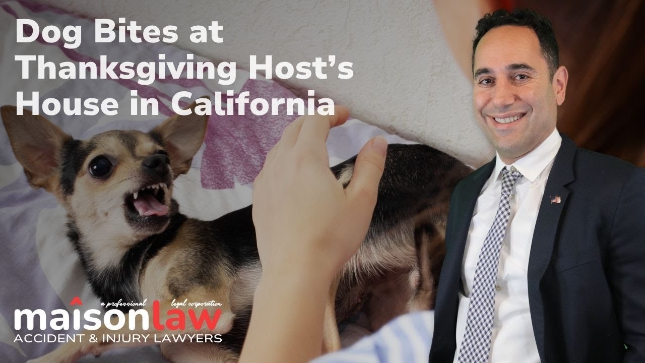 Dog Bites at Thanksgiving Host's House in California