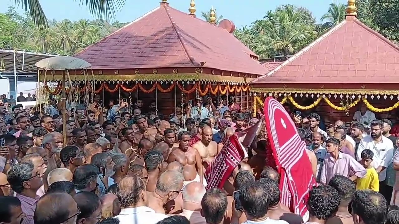 കവിണിശ്ശേരി മുച്ചിലോട്ട് കാവിൽ മുച്ചിലോട്ട് ഭഗവതിയുടെ തിരുമുടി നിവർന്നു 