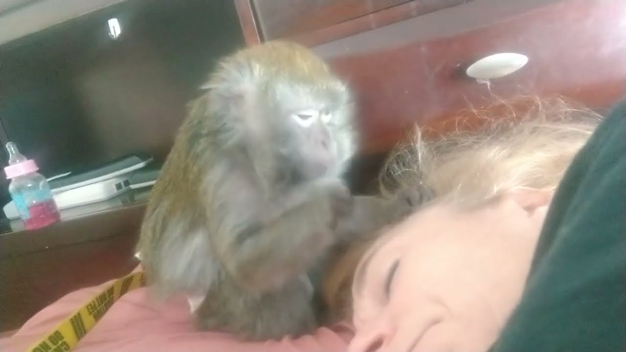 Loved By Abby Louise ASMR
