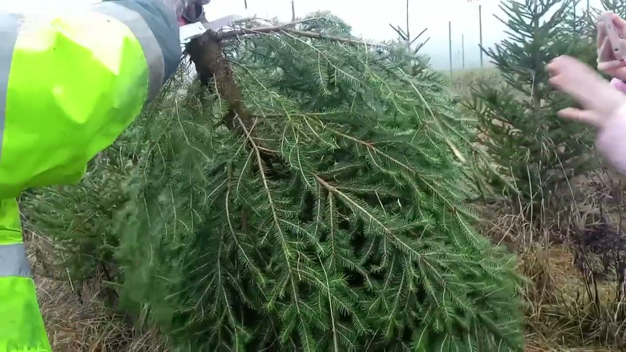 Šumperk vanocni trhy