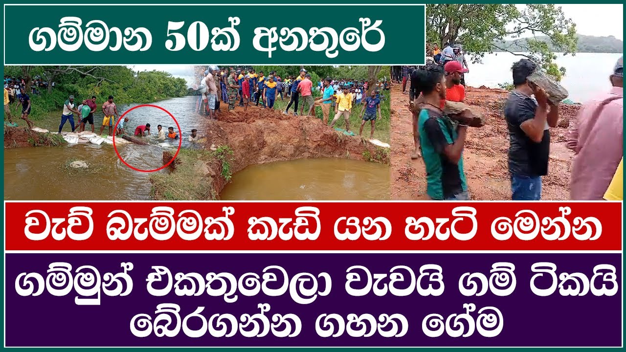 ගම් 50ක් අනතුරේ දමමින් අලුත් දිවුල්වැව වැව් බැම්ම කැඩී යයිද? | Galenbidunu wewa | LBCNews