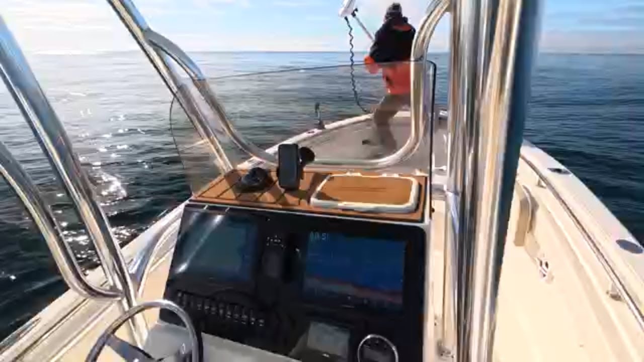 Searching for New Ledges in Onslow Bay | Winter Sea Bass on Jigs