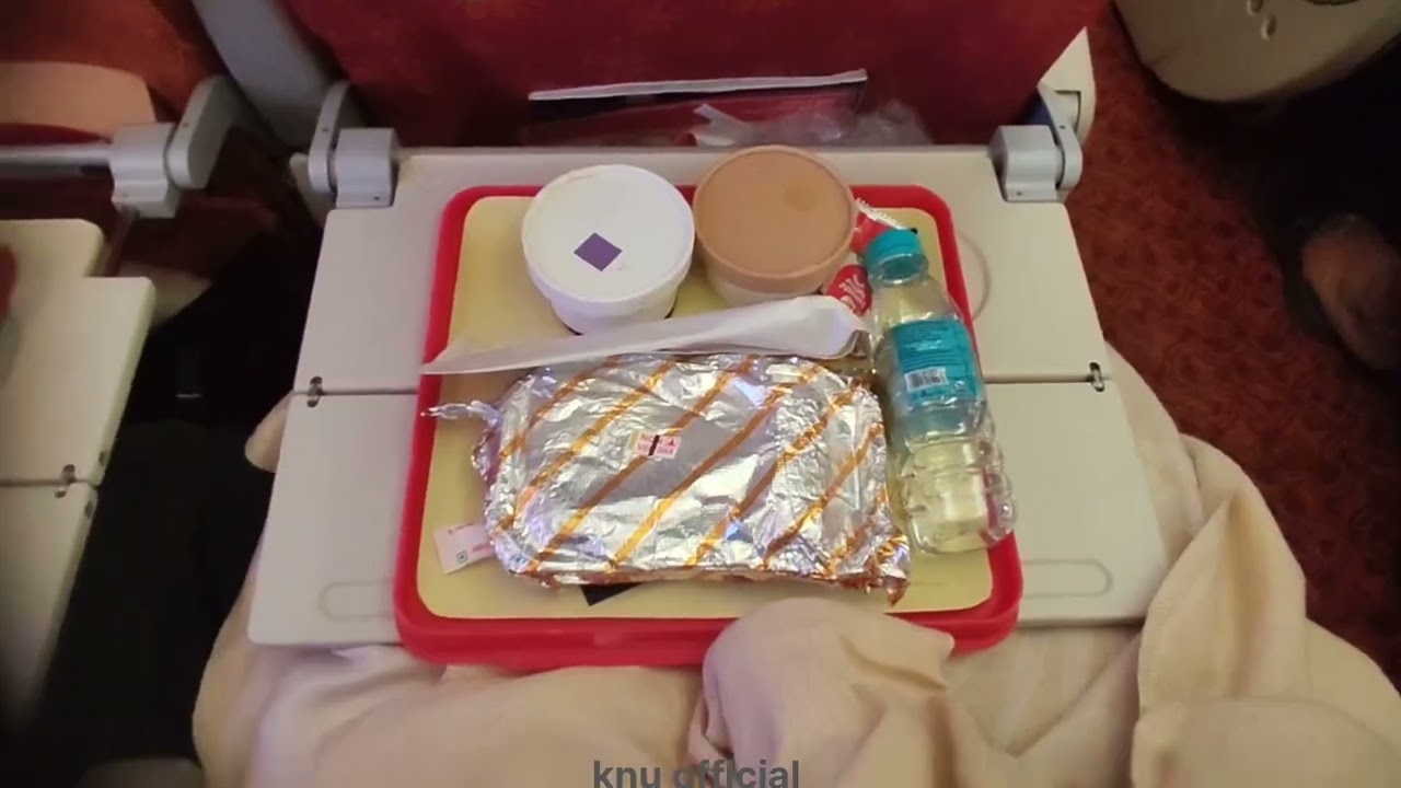 Kochi to Frankfurt (Part 2 Delhi2Frankfurt AI 121)