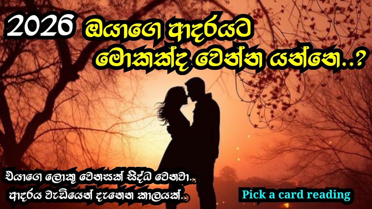 2026 ඔයාගෙ ආදරයට මොකක්ද වෙන්න යන්නෙ..?(Sinhala tarot reading) Pick a cards