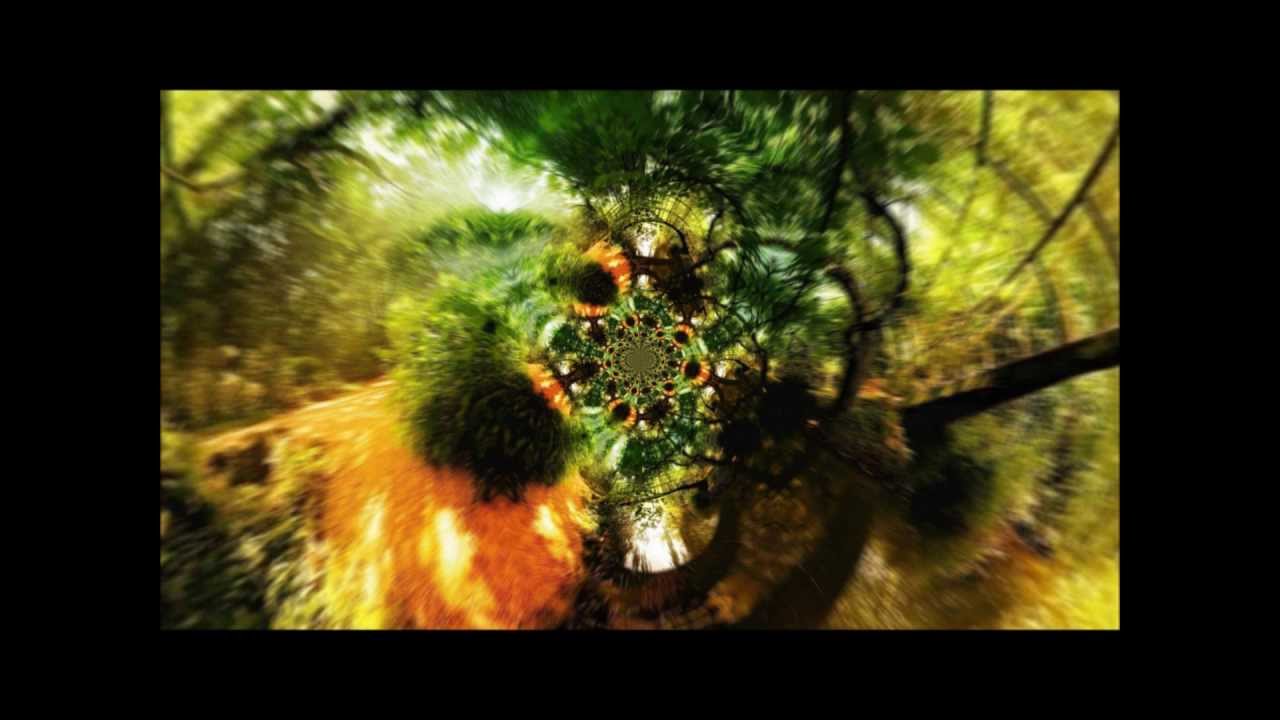 285 Hz