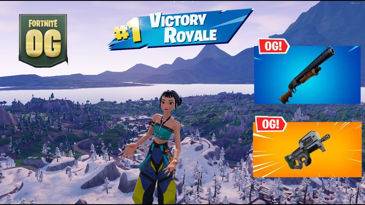 48 Kill Fortnite Solos and Duos 