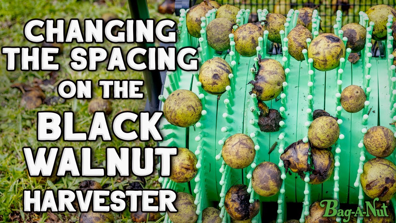 Changing the Spacing on the Bag-A-Nut Black Walnut Harvester