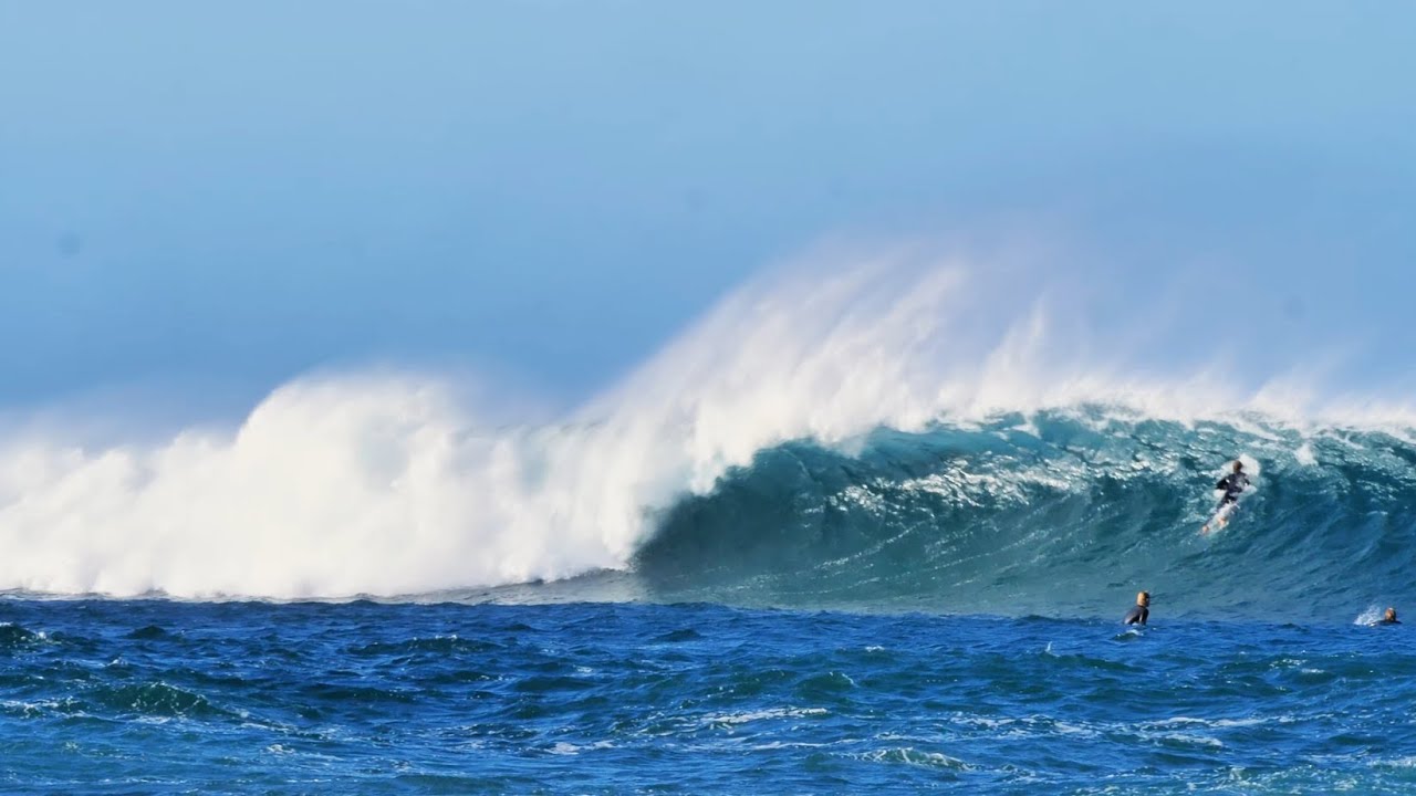 Three Bears Surfing