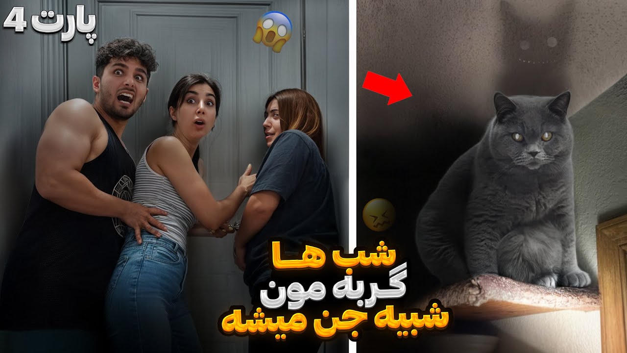 شب ها خونمون و گربمون جنی میشن ، پارت چهارم