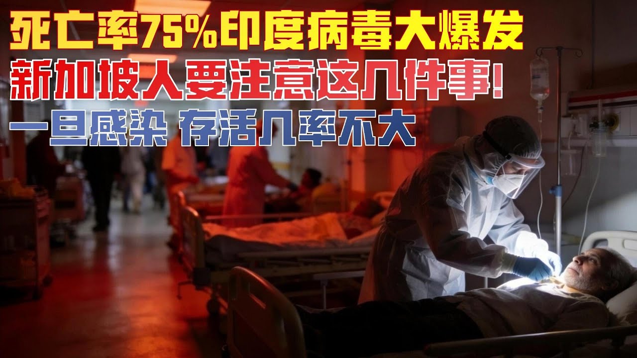 印度病毒大爆发！致死率达75%可以人传人！新加坡人一定要注意这几件事