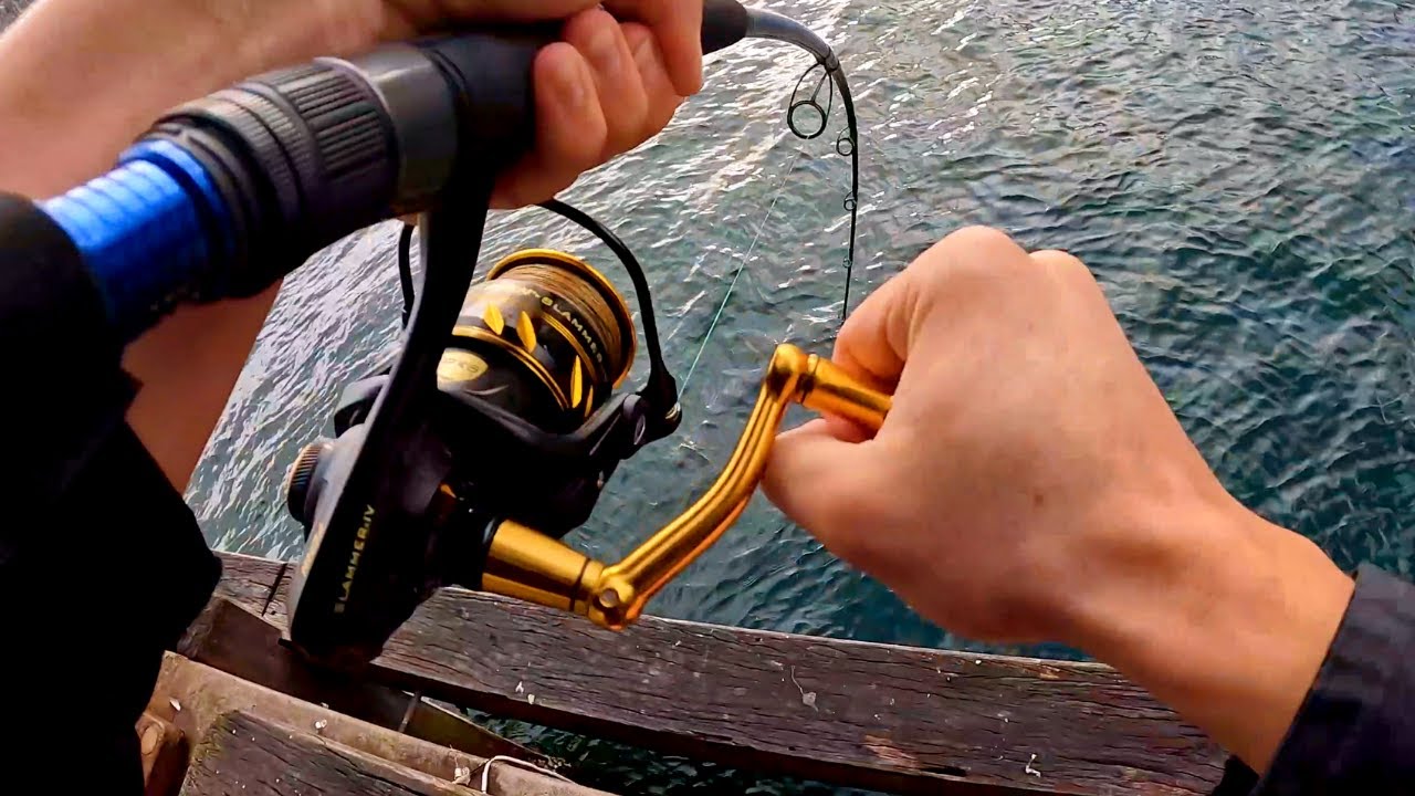 I Got Smoked... Big Kingfish at Sydney Piers