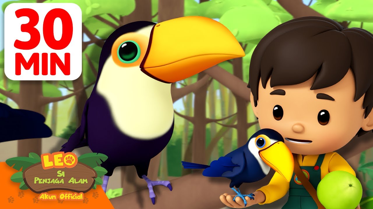 Junior Ranger Berteman dengan Burung Tukan Toco! | 30 Menit | Leo Si Penjaga Alam | #hewan