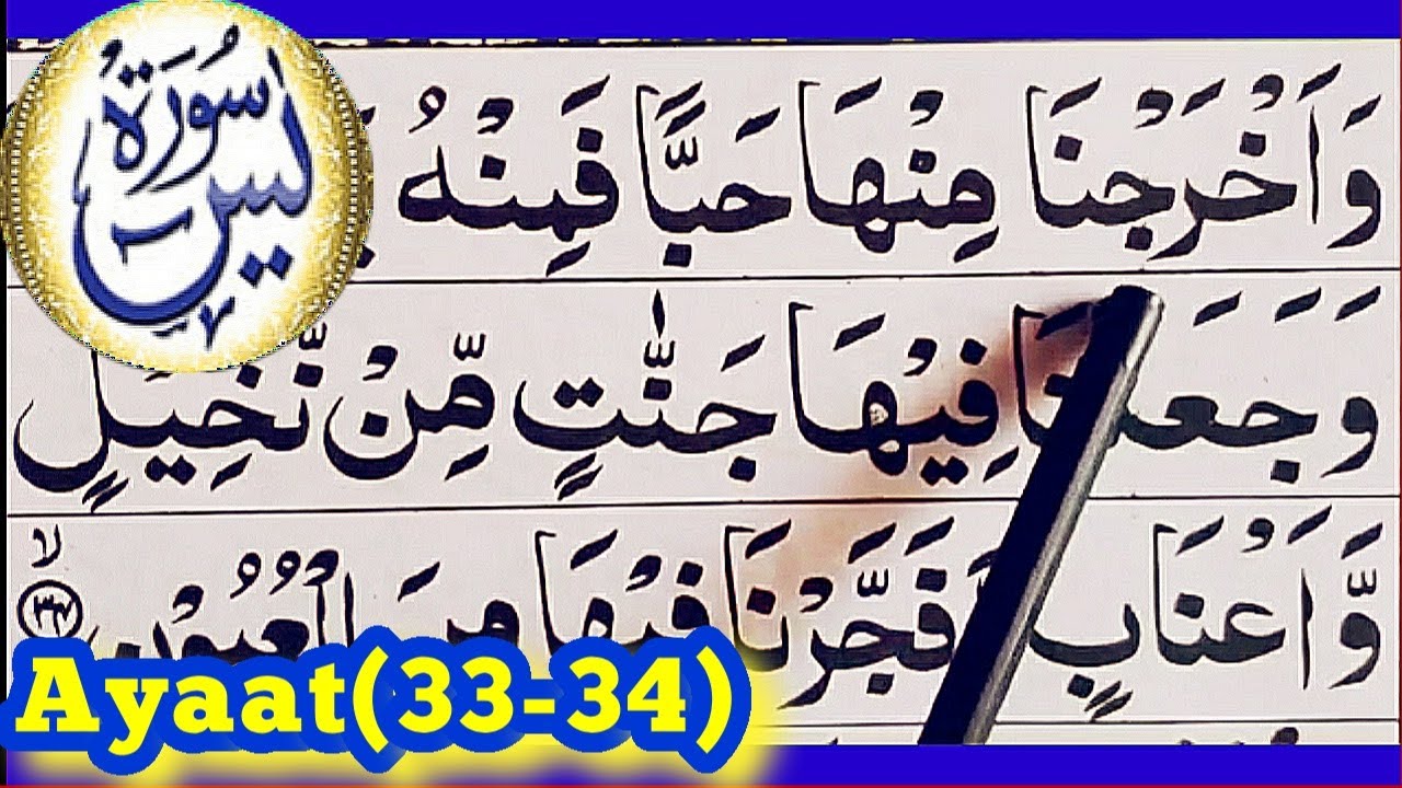 SURAH AL YASIN Ayaat(33-34)full Spelling word byword fullAyaat Hadar Learn #Quran#Ayaat#Yasin#Surah