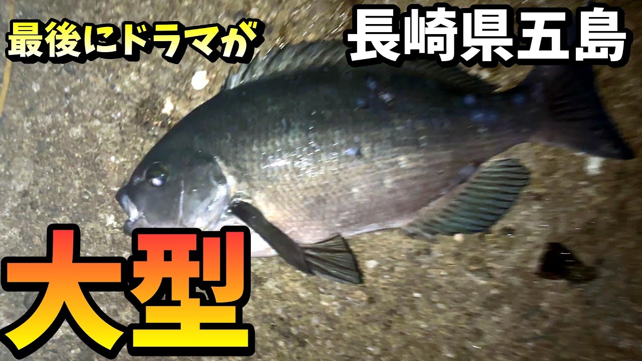 最後にドラマが！心が折れる爆風のグレ釣り in 長崎県五島列島