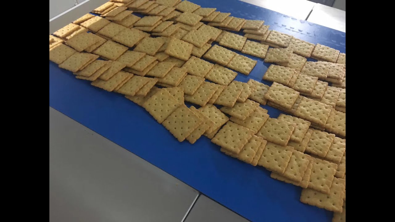 SINOBAKE biscuit factory/Baby biscuit/Super high standard factory building