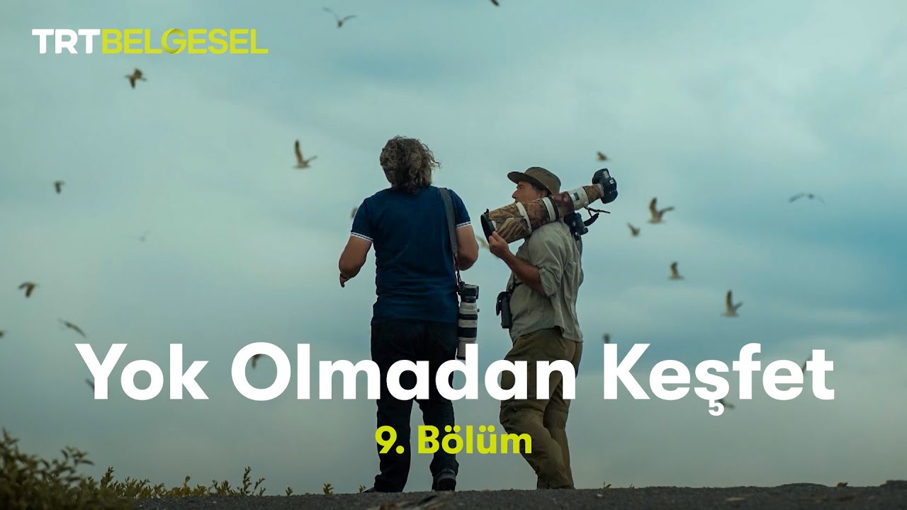 Yok Olmadan Keşfet | Van Gölü Havzası | TRT Belgesel