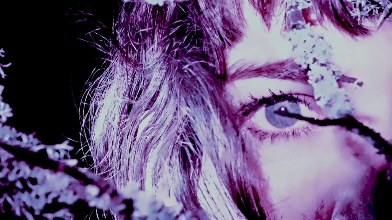 neverendings - Crushed (Official Music Video)