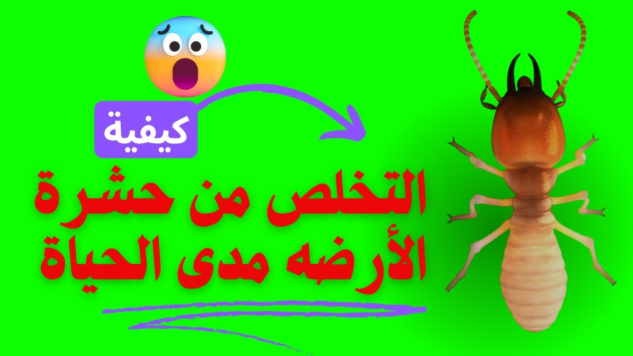 حشرة الأرضه تخلص منها مدى الحياة ( النمل الأبيض ) بأستخدام منظومة مكافحة الأرضه أفضل من مكافحتها