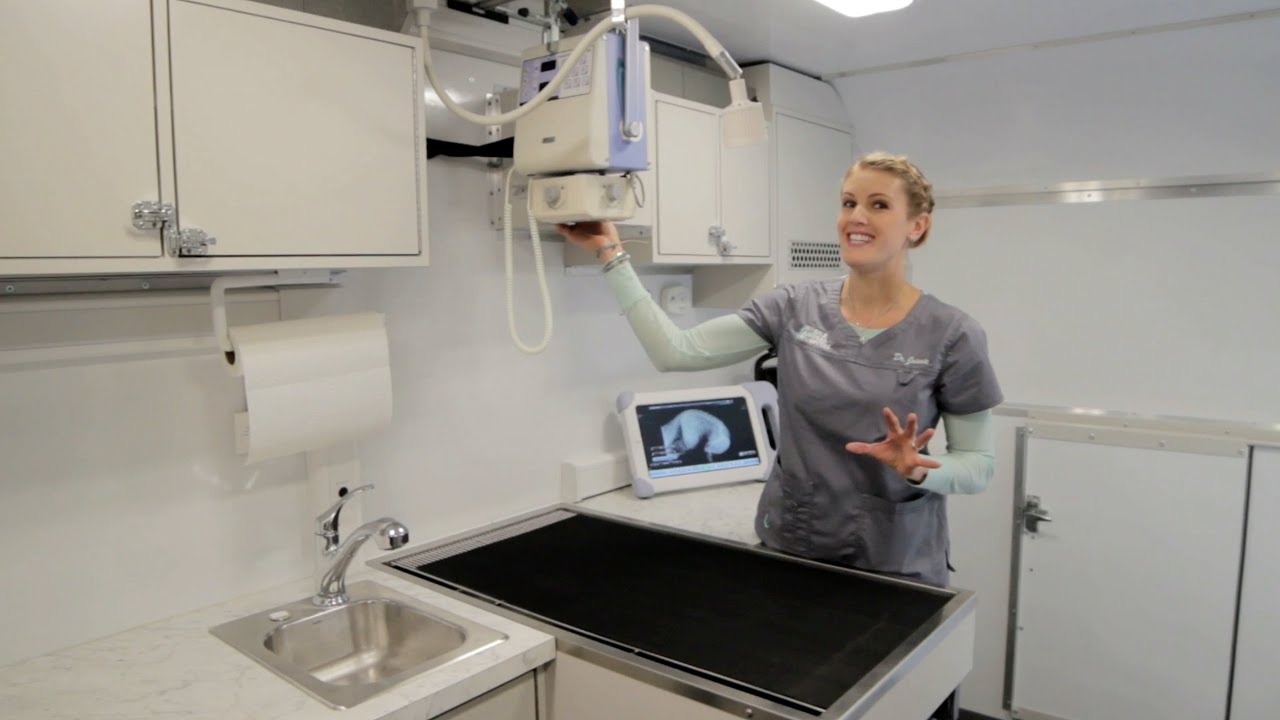 Tour Concierge Mobile Animal Hospital