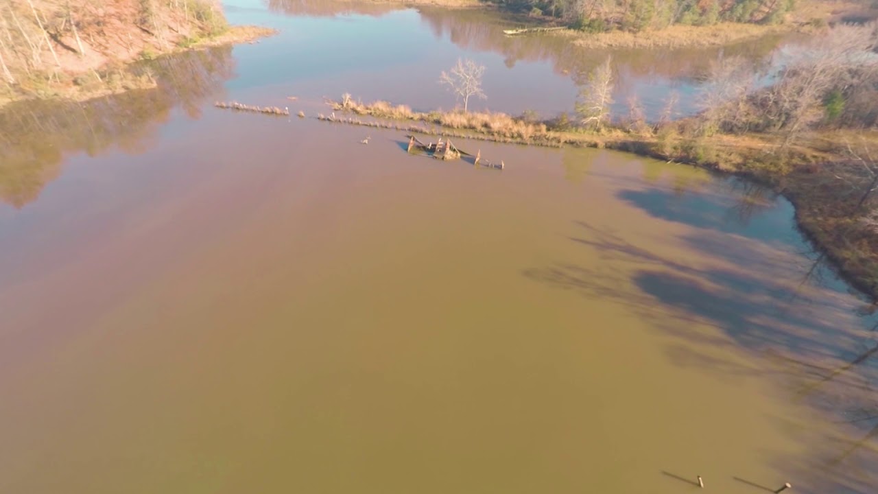 Drone: Mallows Bay, Maryland