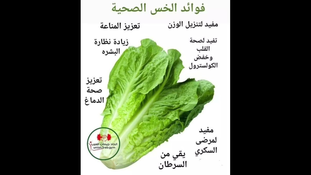 فوائد الخس الصحية 🥬&hearts;️