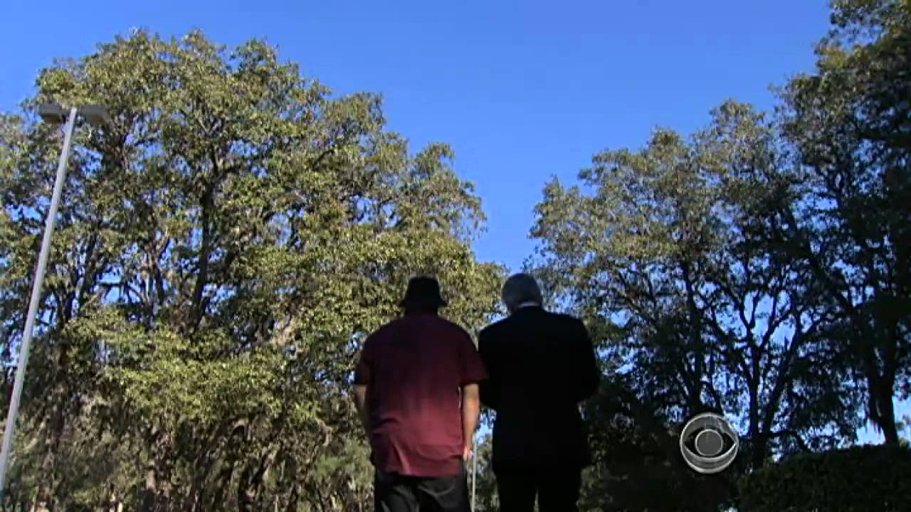 CBS Evening News with Scott Pelley - Fake car accidents driving insurance prices up