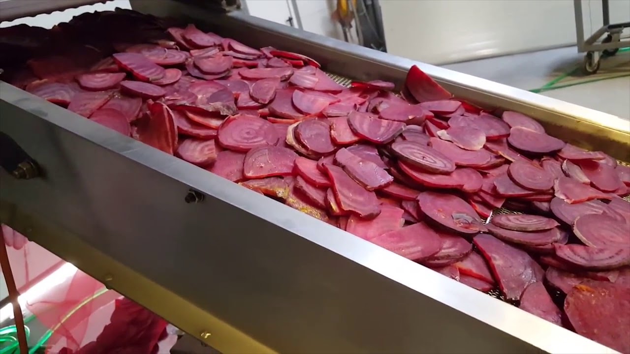 Vacuum fryer, vacuum dryer, vacuum fried chips, beetroot, pumpkin, carrot chips Factory tests