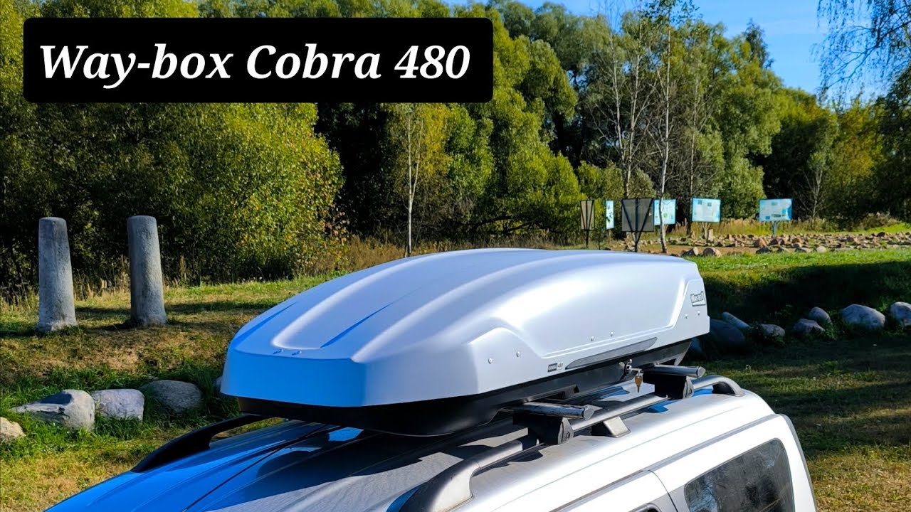 Автобокс Way-box Cobra 480 серый матовый