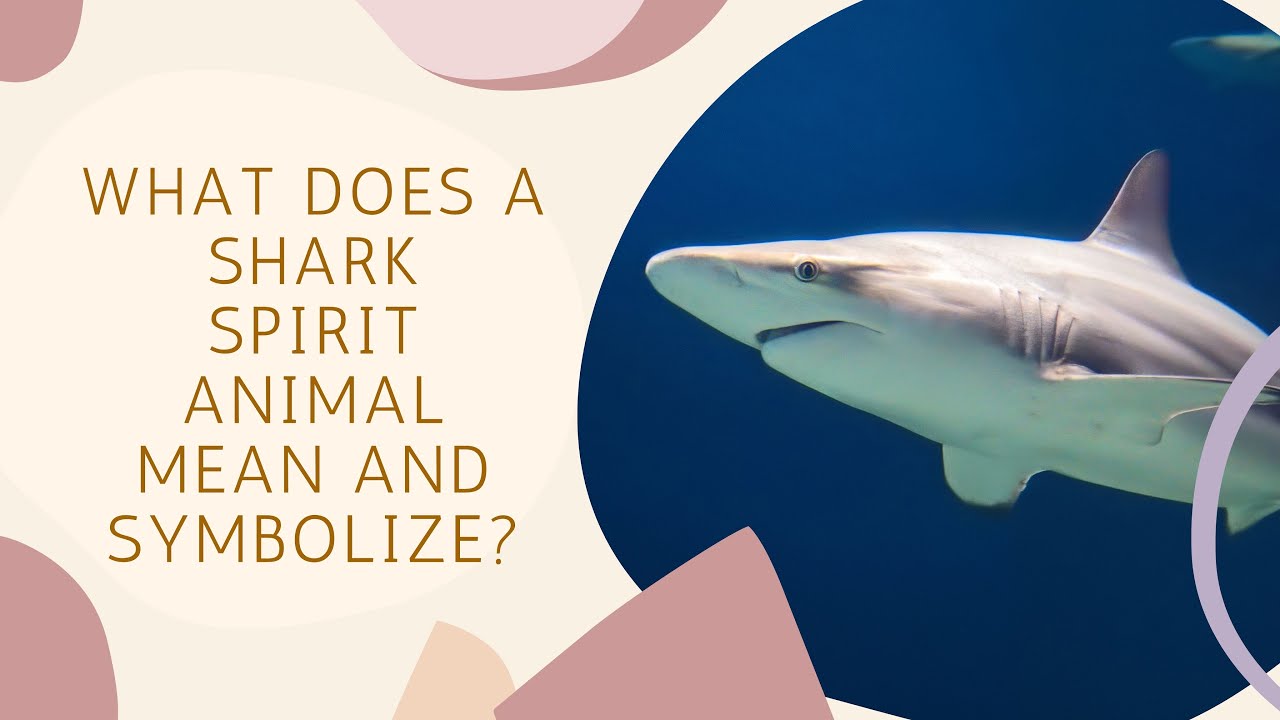 What Does A Shark Spirit ANimal Mean And Symbolize?