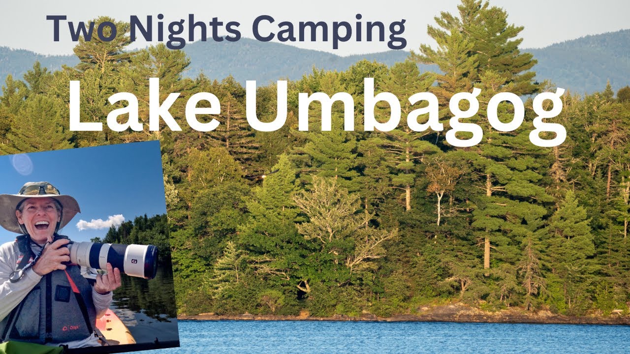Umbagog Lakeside Camping in August