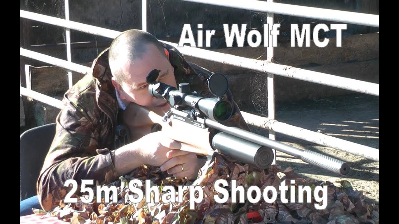 AIR RIFLE @ 25m: Daystate Airwolf MCT Air Gun .177