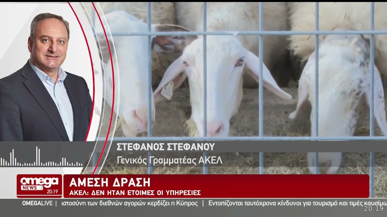 Αφθώδης πυρετός / «Πυρά» κατά κυβέρνησης από τα κόμματα – Δεν φταίνε τα κατεχόμενα, λέει ο Έρχουρμαν