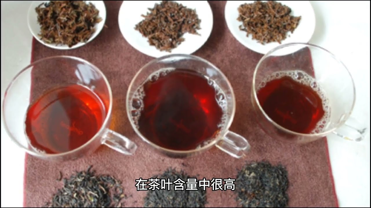 茶多酚对人体有什么作用？有病靠喝茶就能好？