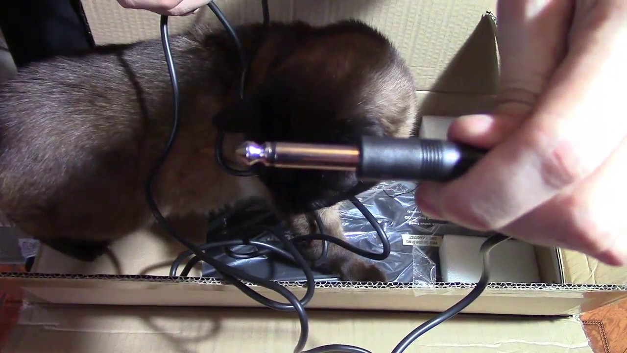 My Blackstar HT 5RH Unboxing! (all tube 5 watt amplifier Head with Digital Stereo Reverb)