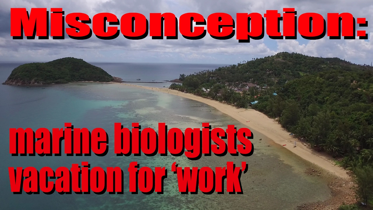 Misconception: Marine biologists vacation for 'work'