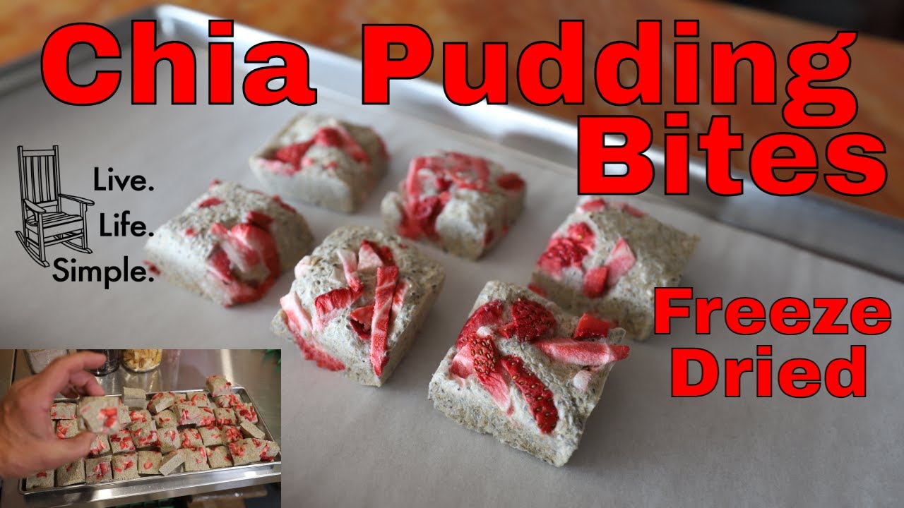 Freeze Dried Chia Pudding Bites -- Healthy Freeze Dried Snacks & Desserts #freezedriedsnacks