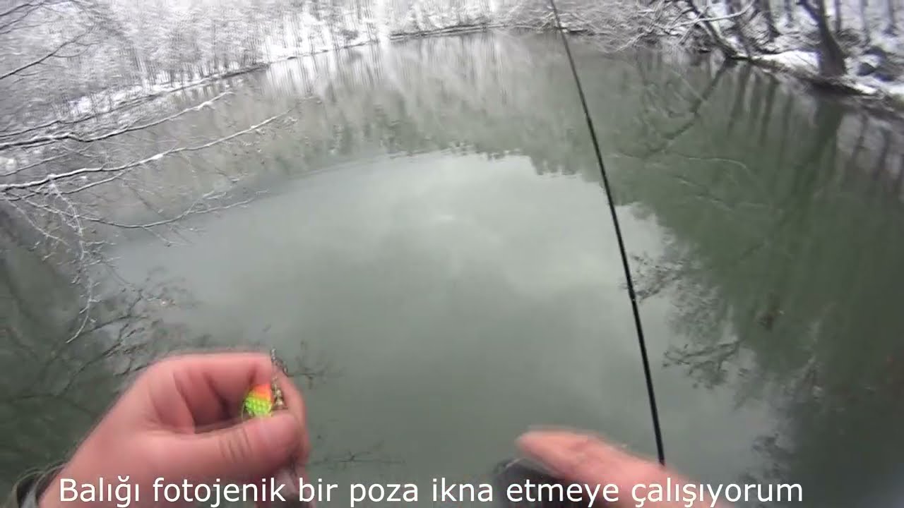 Yedigöller'de gökkuşağı x gölde abanticus avı