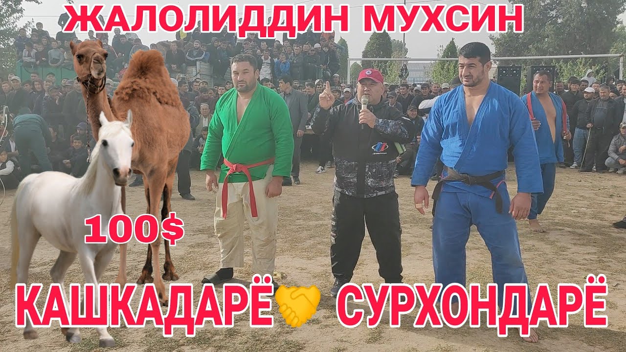 МУХСИН ЖАЛОЛИДДИН ШУРЧИ ТУМАНИДАГИ КУРАШДА 19.10.2022