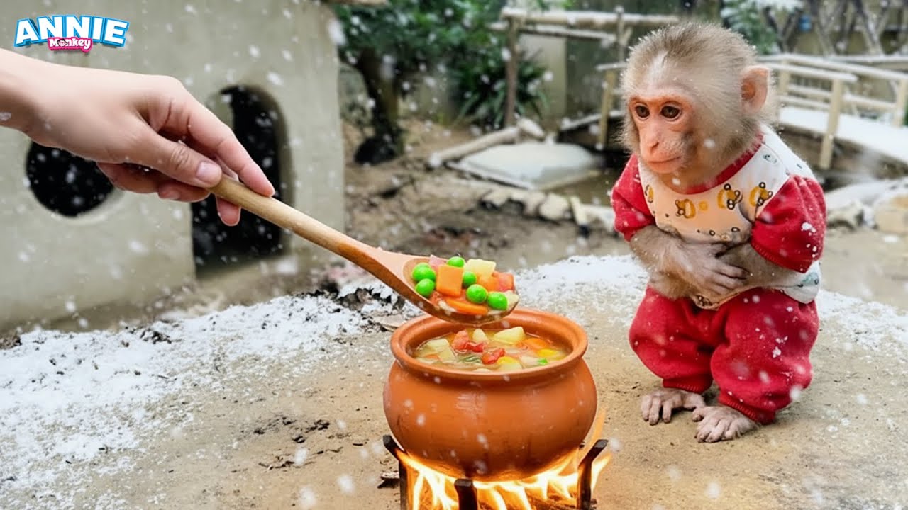 Baby monkey Annie helps  dad harvest fruit on the farm to make a special soup