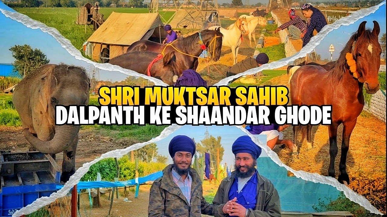 SRI MUKTSAR SAHIB PAHUCH CHUKE HAI DAL BABA BIDHI CHAND SAHIB JI || EK SE BADKAR EK SHANDAAR GHODE❤️