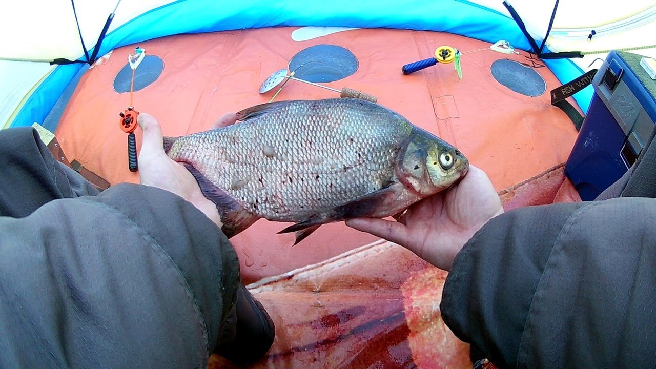 ЗИМНЯЯ РЫБАЛКА🎣 С НОЧЕВКОЙ В ПАЛАТКЕ НА ЛЕЩА 2022.|||ЯУЗСКОЕ ВОДОХРАНИЛИЩЕ-ПУДЫШИ|||