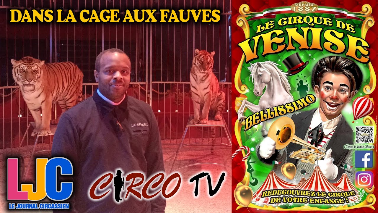 CIRQUE DE VENISE (2024)
