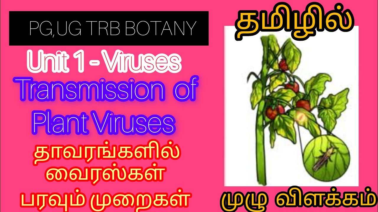 PG TRB, UG TRP BOTANY /Unit 1.- VIRUSES/தாவரங்களில் வைரஸ்கள் பரவும் முறைகள்/  INFINITIVE EDUCATION 