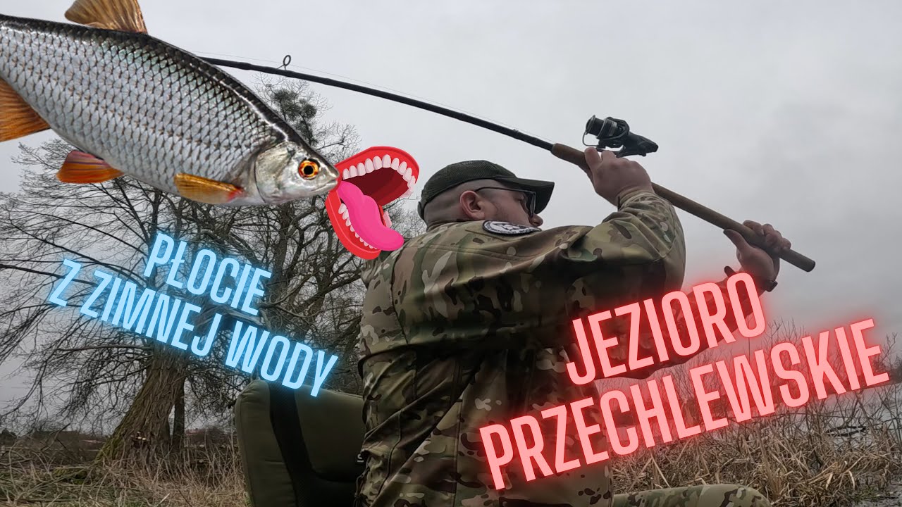Jezioro Przechlewskie | Płocie na feeder [6]