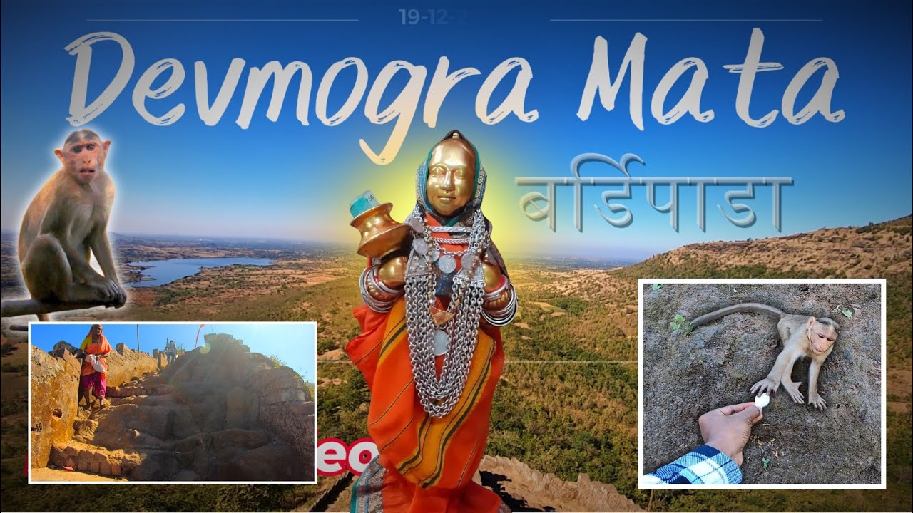दामनदरी देवमोगरा माता बर्डीपाडा, 🌷❤️🌾 #bardipada #devmogramata #MayurMH39
